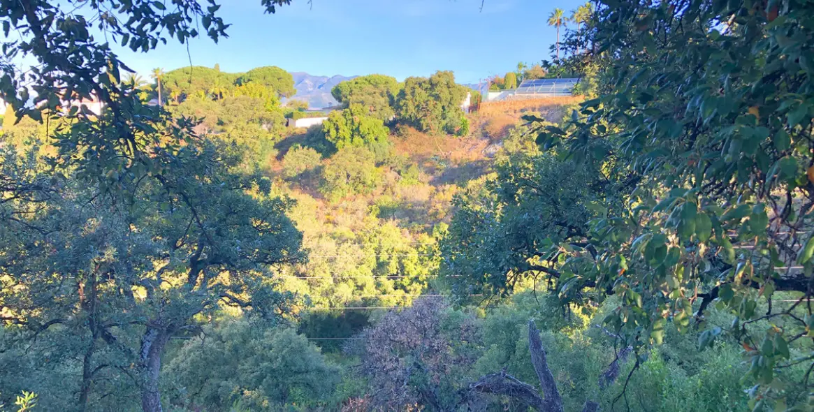 Sale of residential plot in Elviria 5