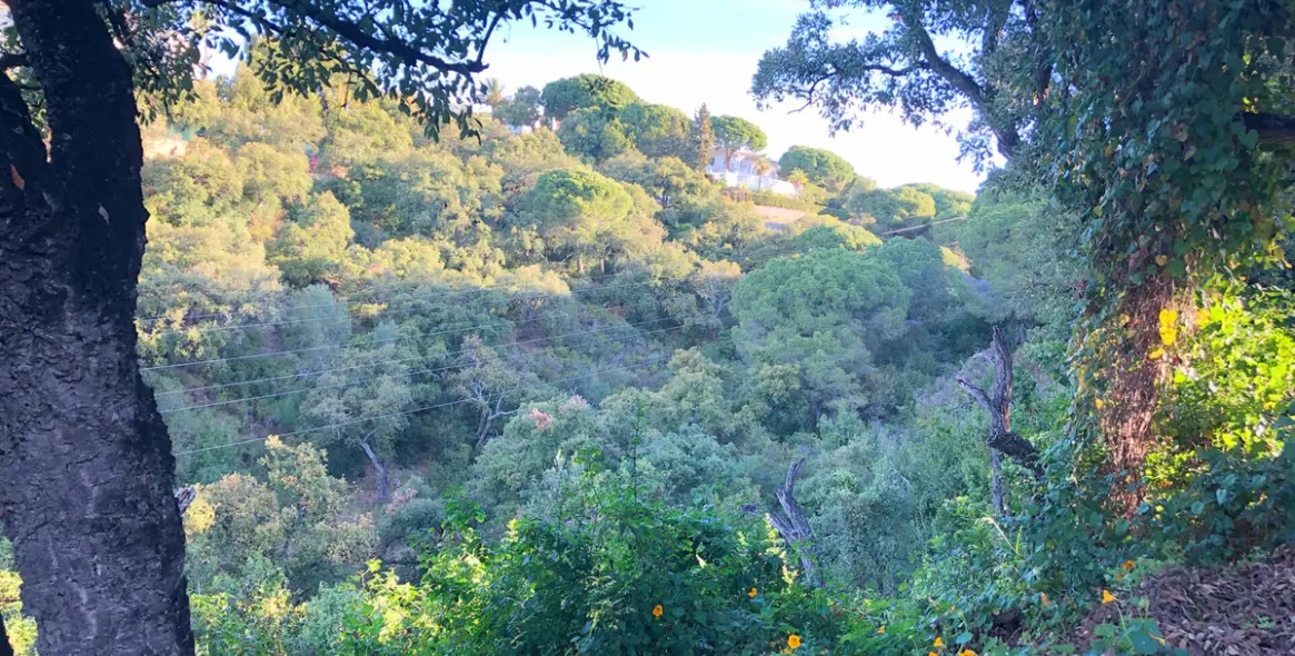 Sale of residential plot in Elviria 7