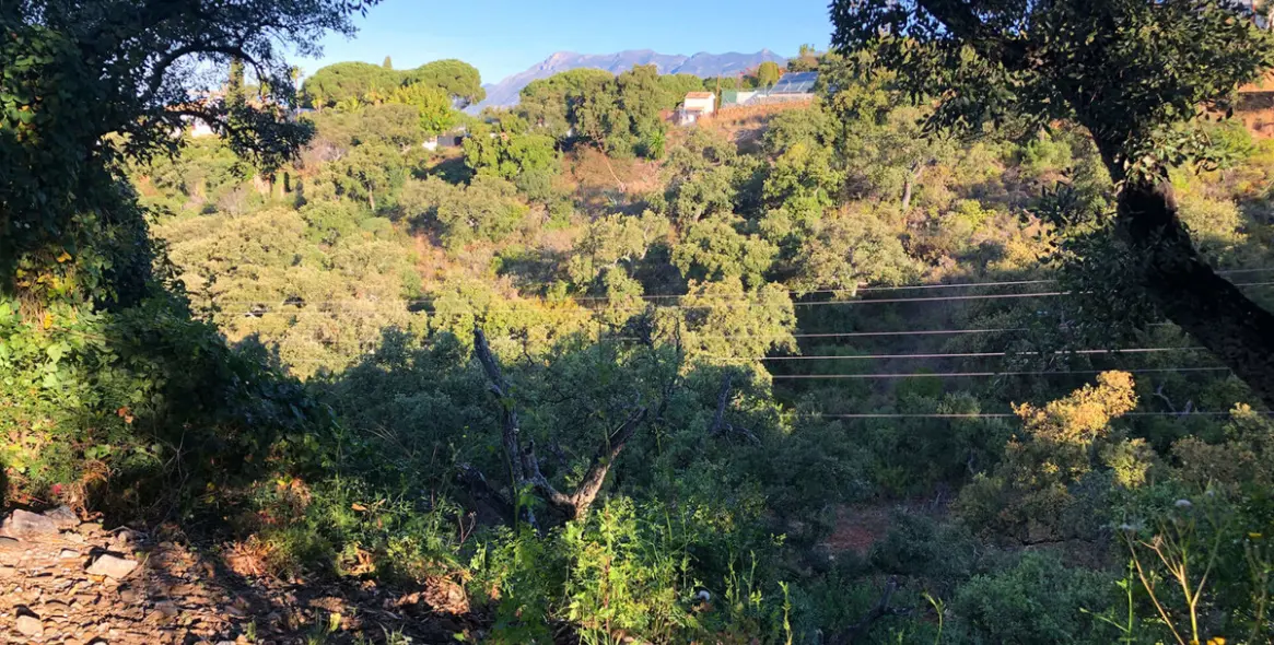 Sale of residential plot in Elviria 9