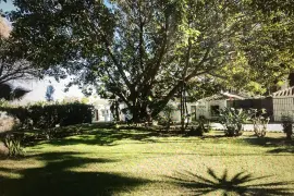 Image 4 thumb