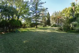 Image 5 thumb