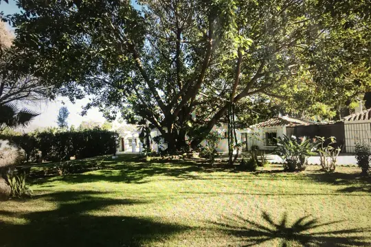 Image 4 thumb
