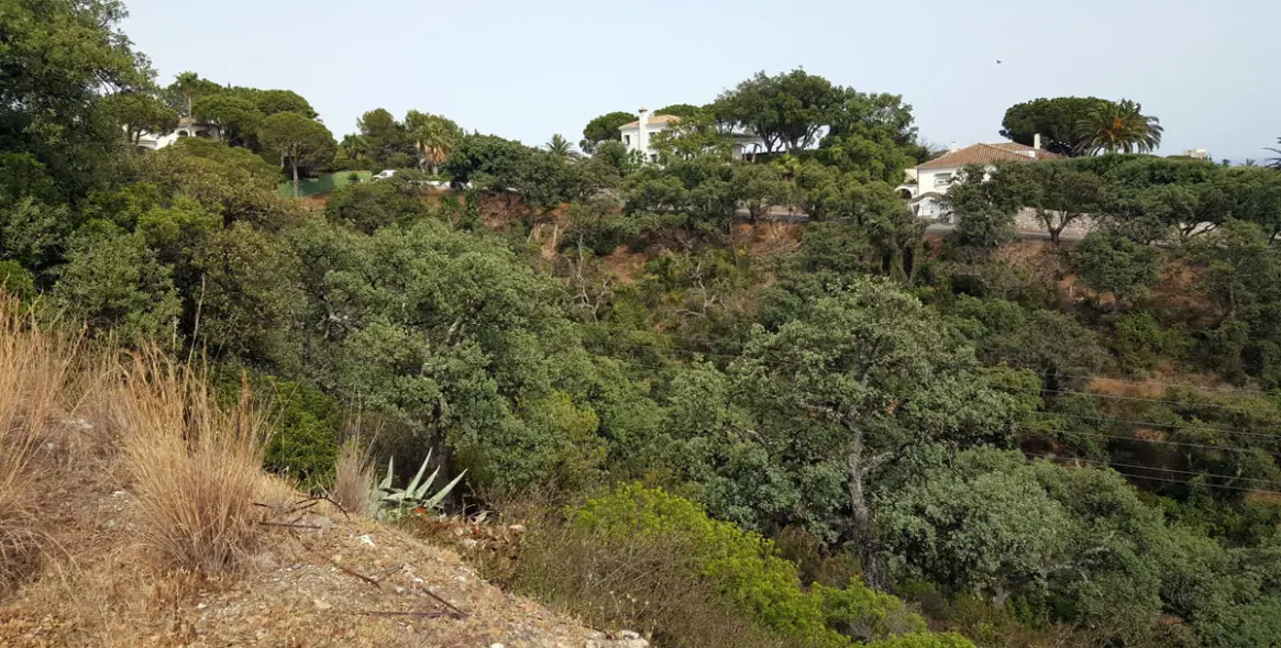 Sale of residential plot in Elviria 4