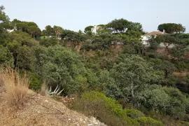 Image 4 thumb