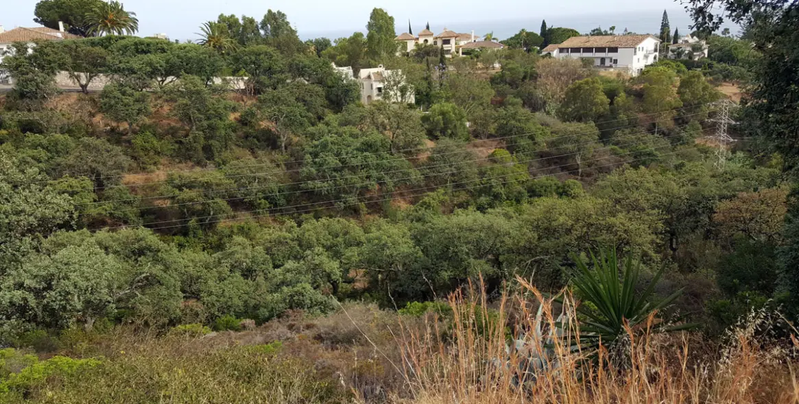 Sale of residential plot in Elviria 5
