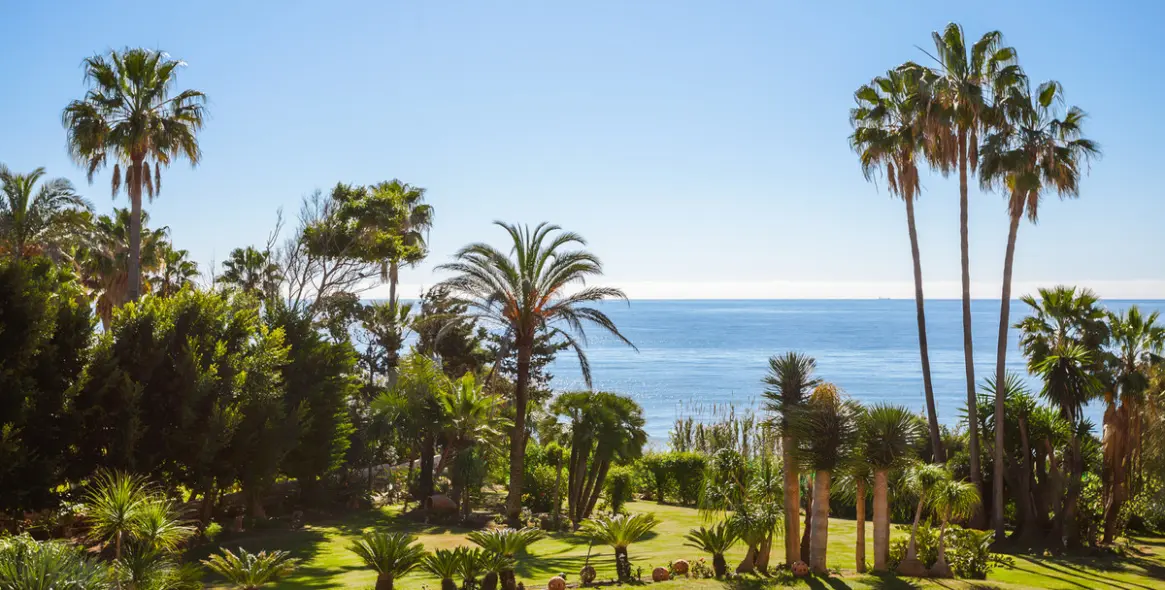 Sale of detached villa in New Golden Mile 17