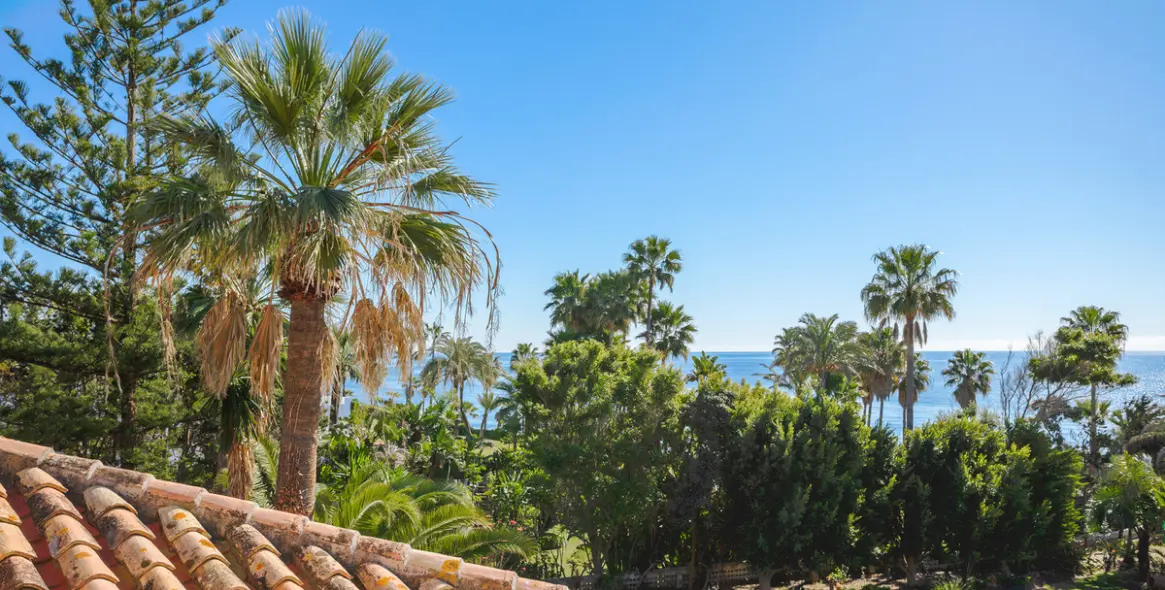 Sale of detached villa in New Golden Mile 32