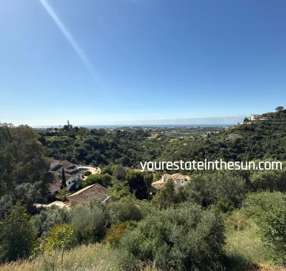 Продажа ресторана в Benahavís