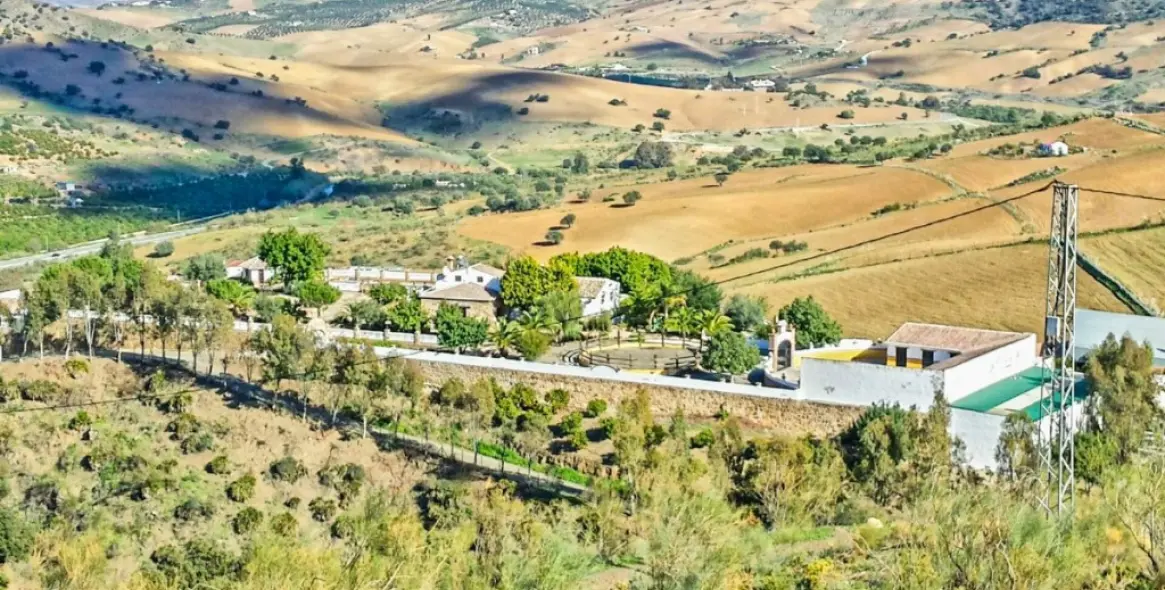 Продажа финки в Malaga (район Provincia de Málaga) 1