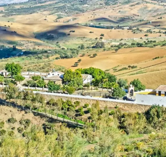 Finca - cortijo R2888972