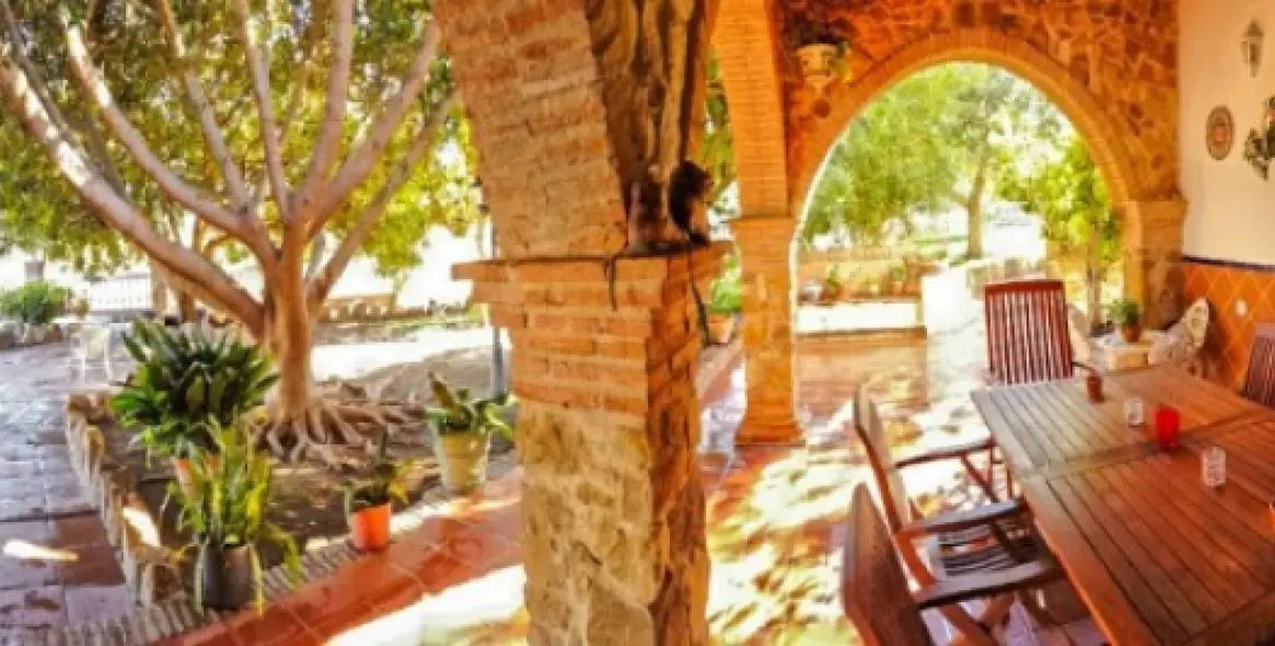 Продажа финки в Malaga (район Provincia de Málaga) 6