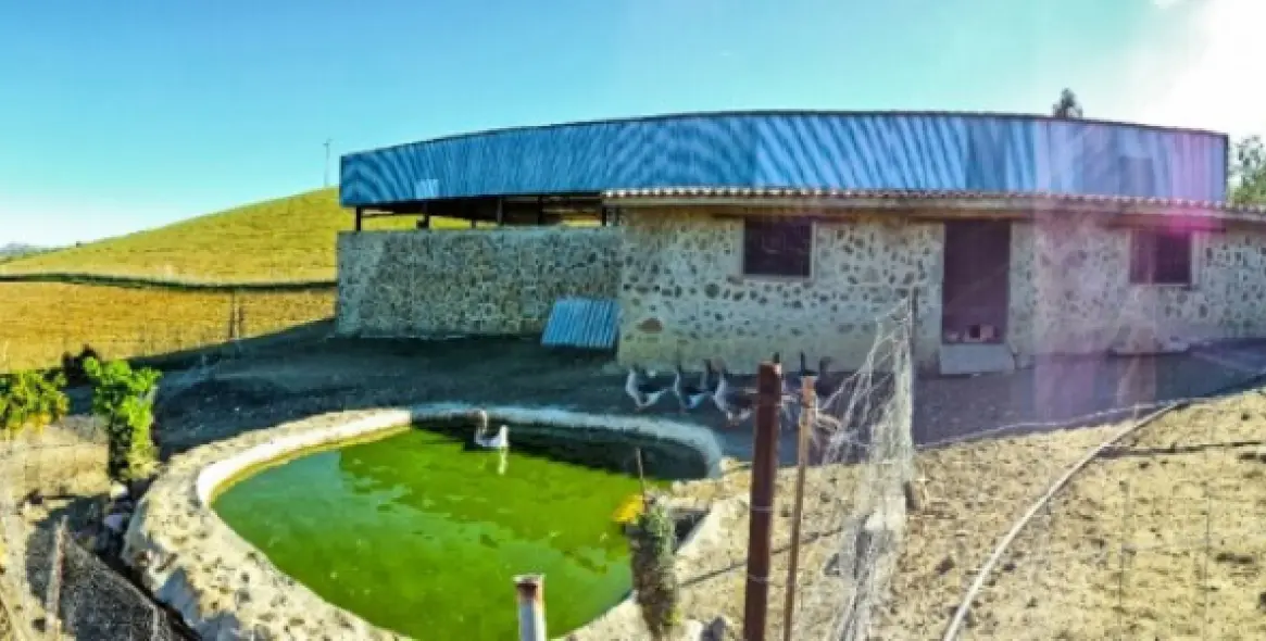 Продажа финки в Malaga (район Provincia de Málaga) 8