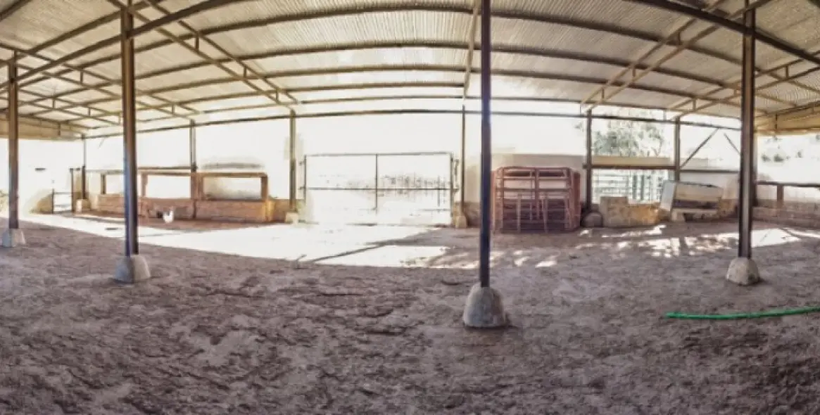 Продажа финки в Malaga (район Provincia de Málaga) 9