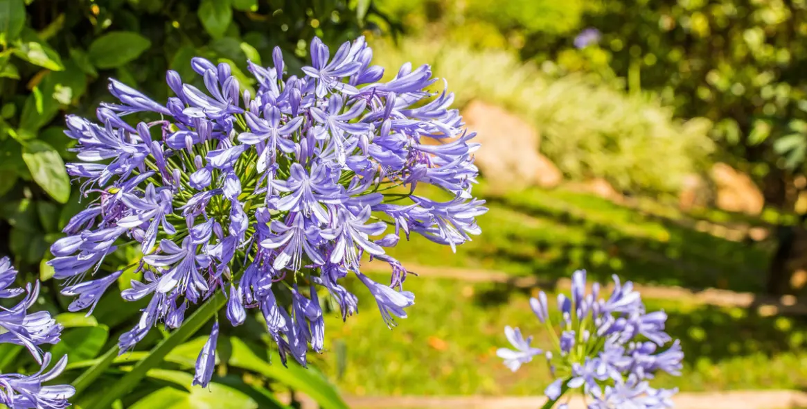 Venta de villa independiente en La Zagaleta 12