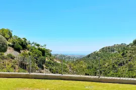Image 61 thumb