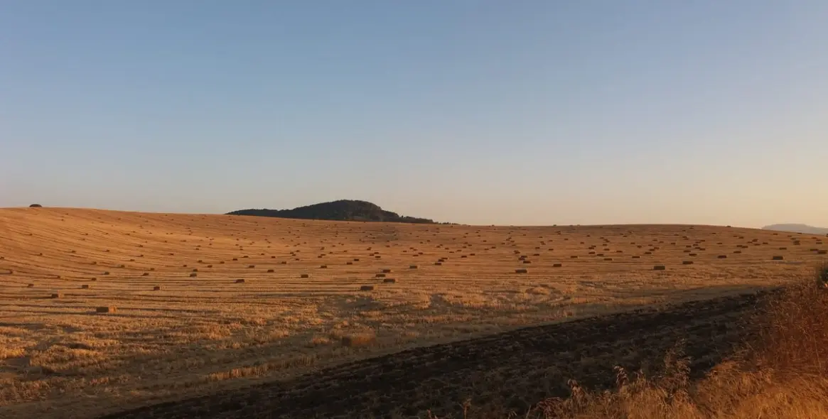 Sale of finca - cortijo in Malaga (district Provincia de Málaga) 1