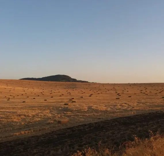 Finca - cortijo R3234529