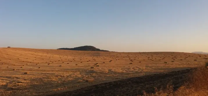 Finca - cortijo R3234529 0