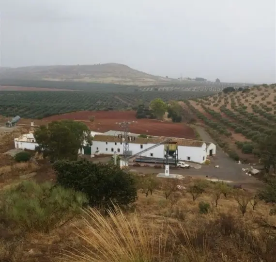 Finca - cortijo R3234529