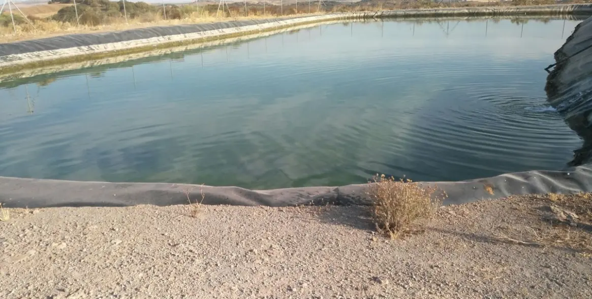 Sale of finca - cortijo in Malaga (district Provincia de Málaga) 4