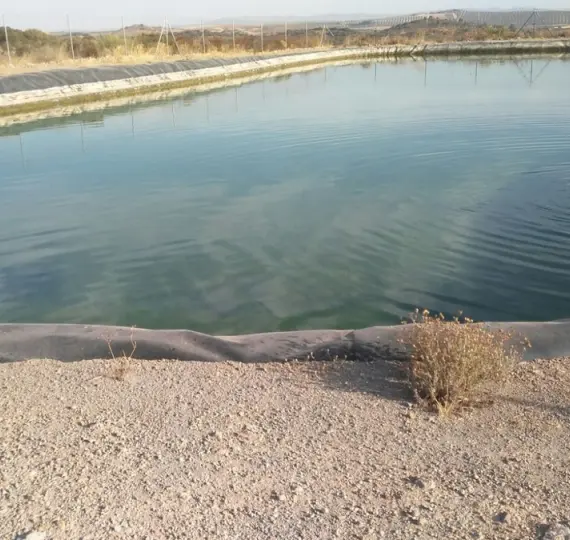 Finca - cortijo R3234529