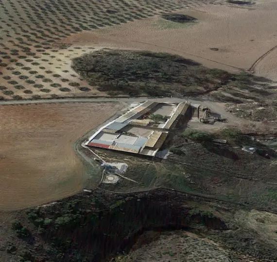 Finca - cortijo R3234529