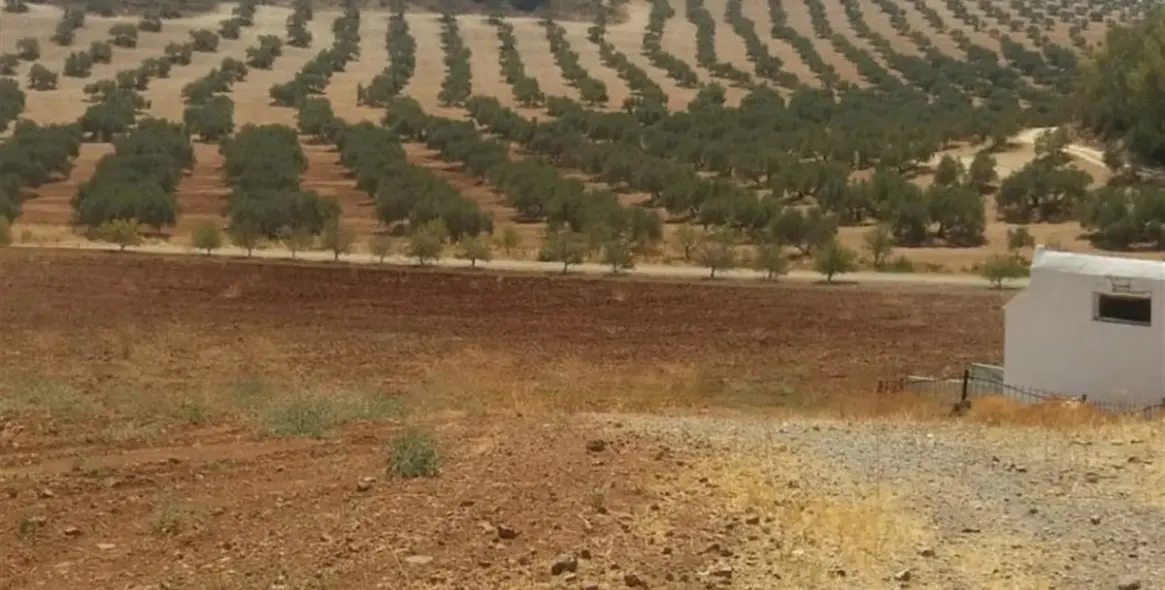 Sale of finca - cortijo in Malaga (district Provincia de Málaga) 8