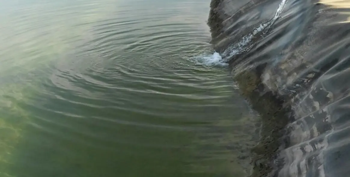 Sale of finca - cortijo in Malaga (district Provincia de Málaga) 10