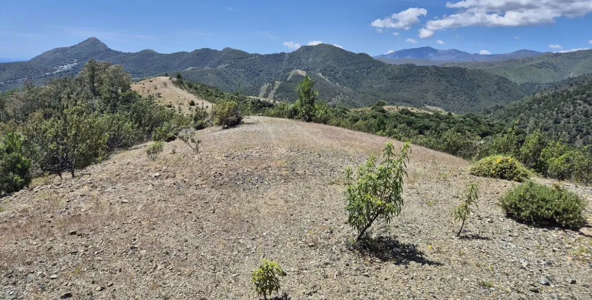 Sale of residential plot in La Zagaleta 5