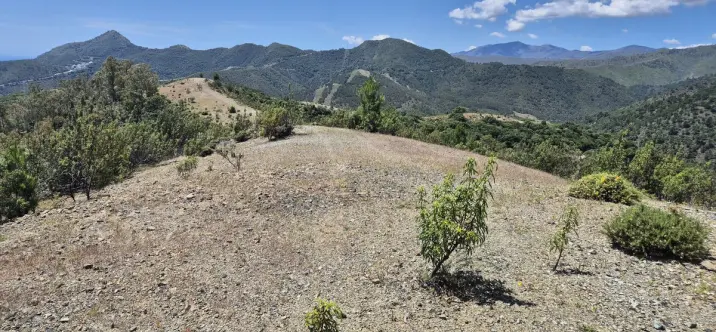 Sale of residential plot in La Zagaleta 4