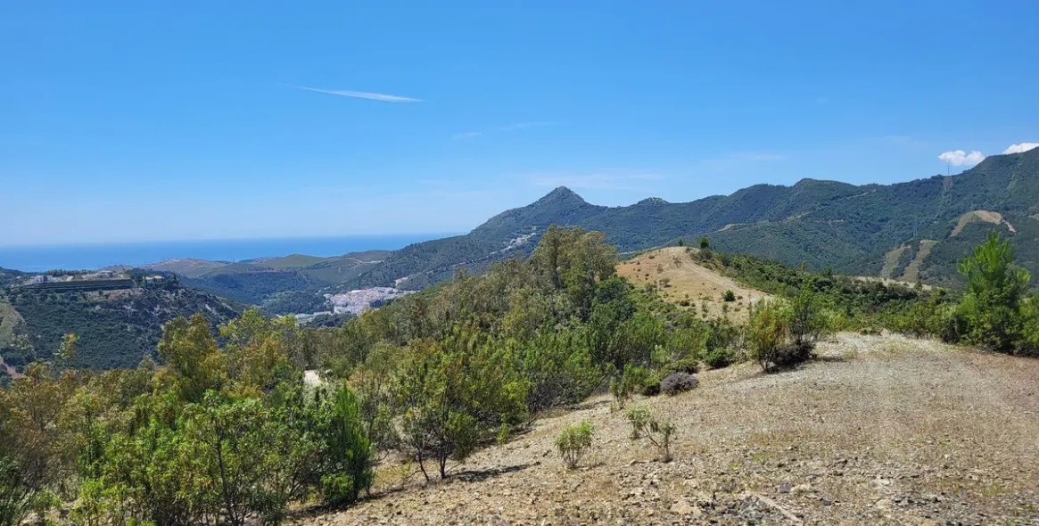 Sale of residential plot in La Zagaleta 8