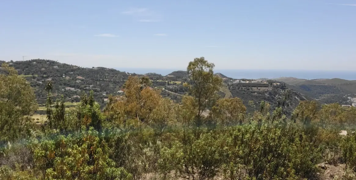 Sale of residential plot in La Zagaleta 10