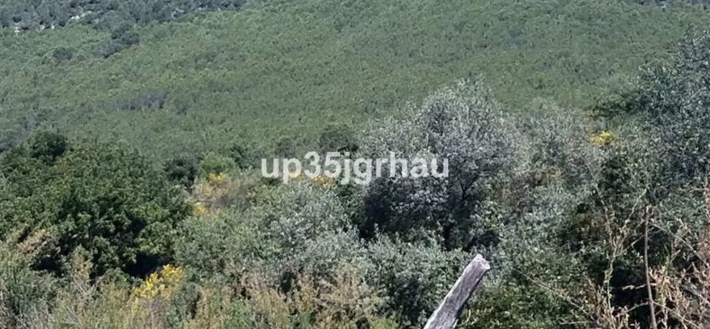 Venta de parcela residencial en Casares 2