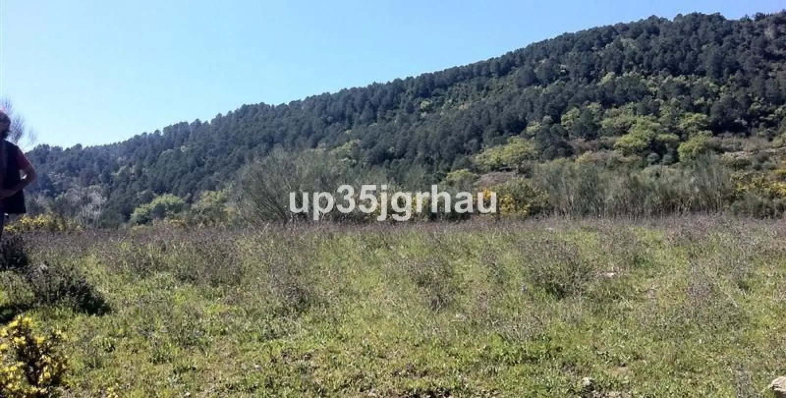 Venta de parcela residencial en Casares 5