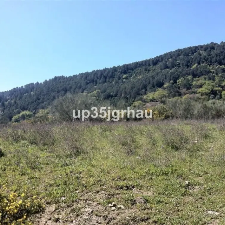 Venta de parcela residencial en Casares