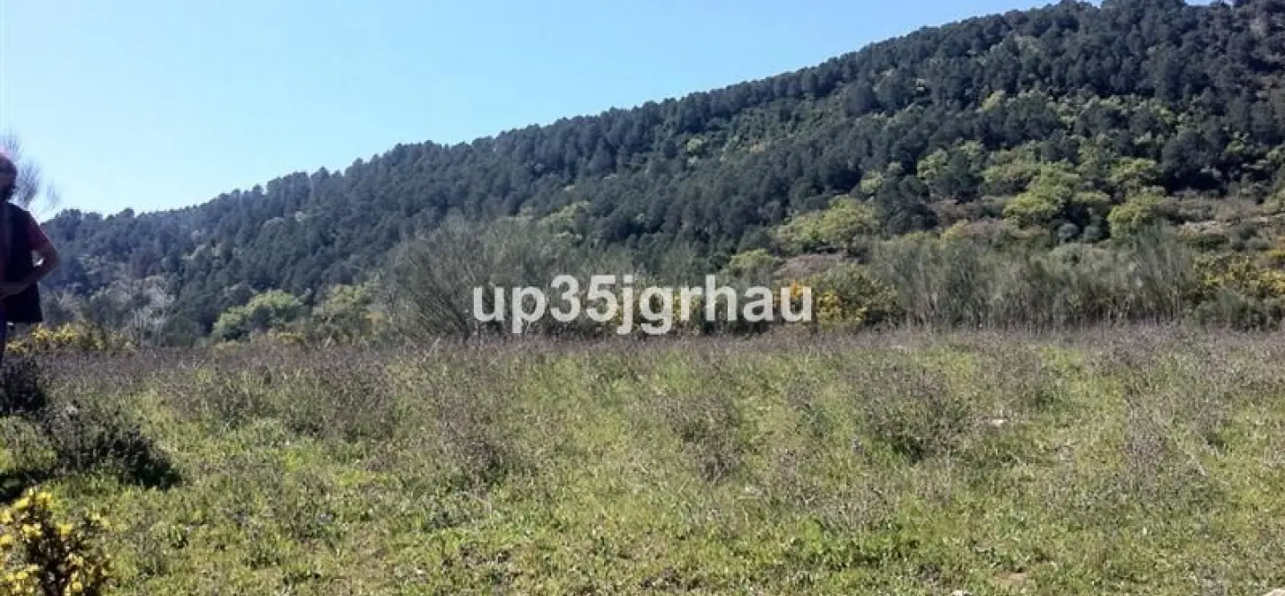 Venta de parcela residencial en Casares 4