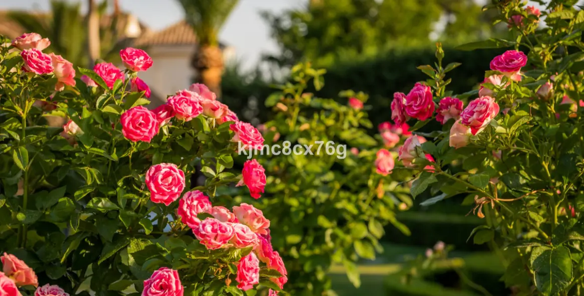 Sale of detached villa in Hacienda Las Chapas 27