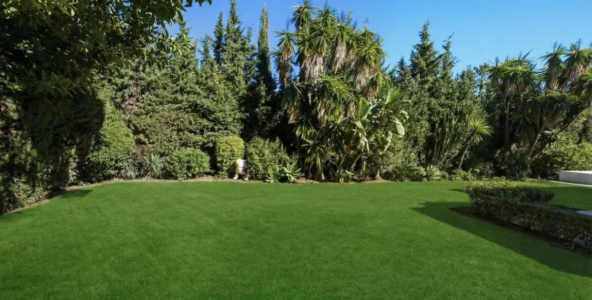 Sale of detached villa in Guadalmina Baja 29