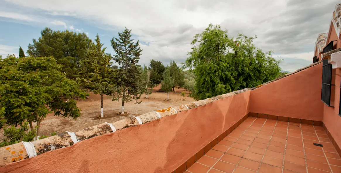 Venta de finca - cortijo en Malaga (distrito Provincia de Málaga) 3