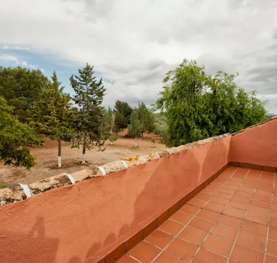 Finca - cortijo R3224398