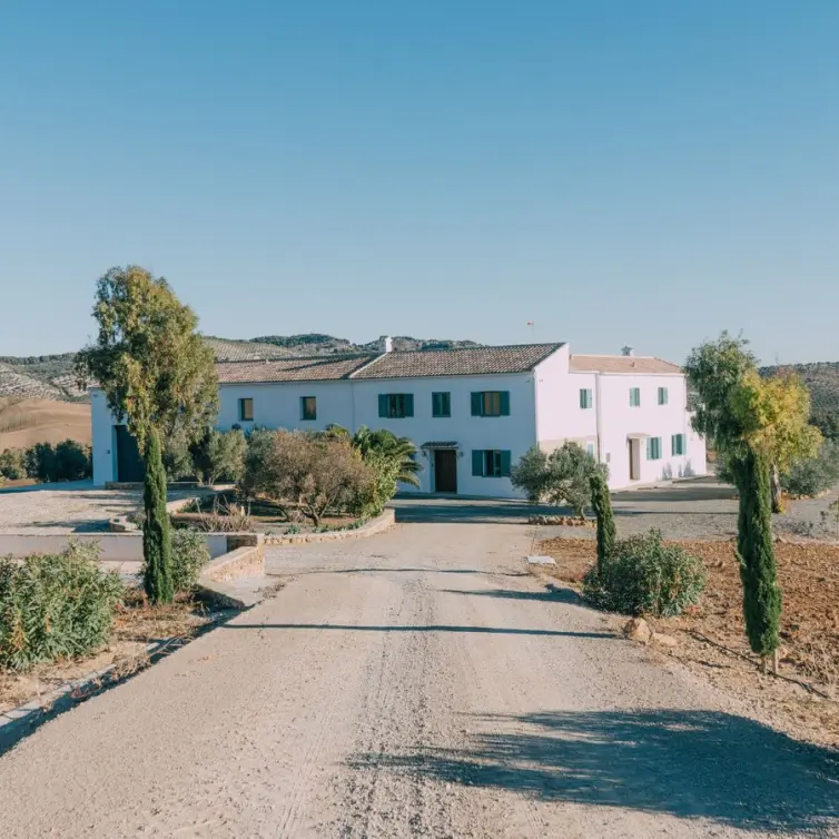 Sale of finca - cortijo in Ardales