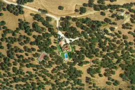 Image 9 thumb