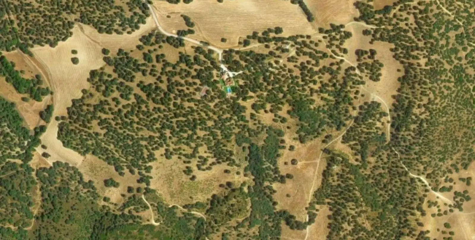 Sale of finca - cortijo in Ronda 10
