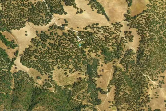 Image 10 thumb