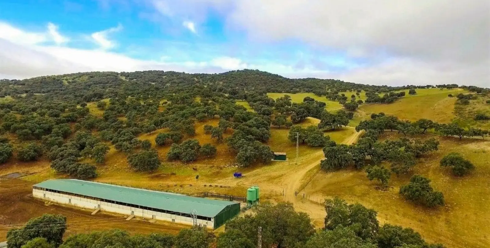 Sale of finca - cortijo in Ronda 15
