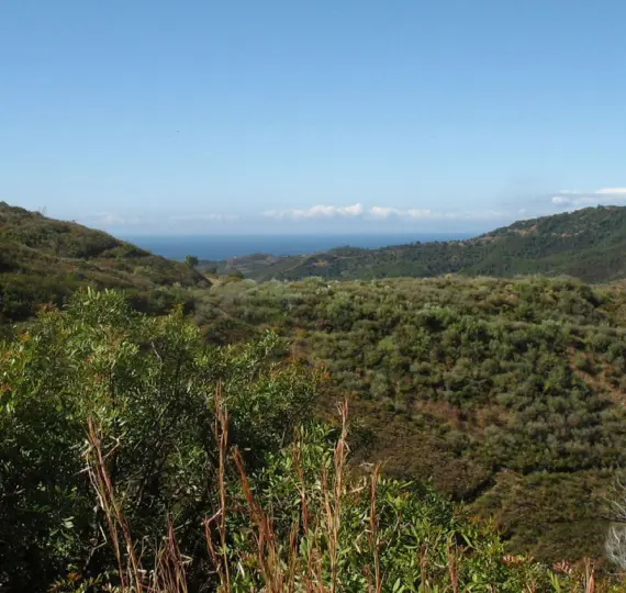 Parcela residencial R4744915