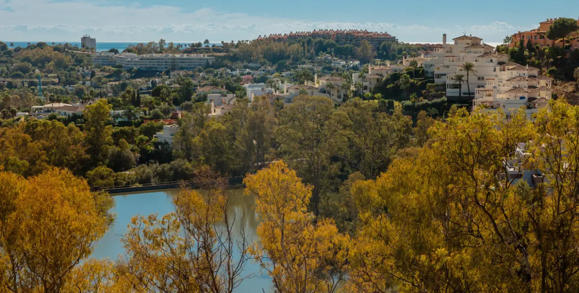 Long-term rent of penthouse in Nueva Andalucía 11