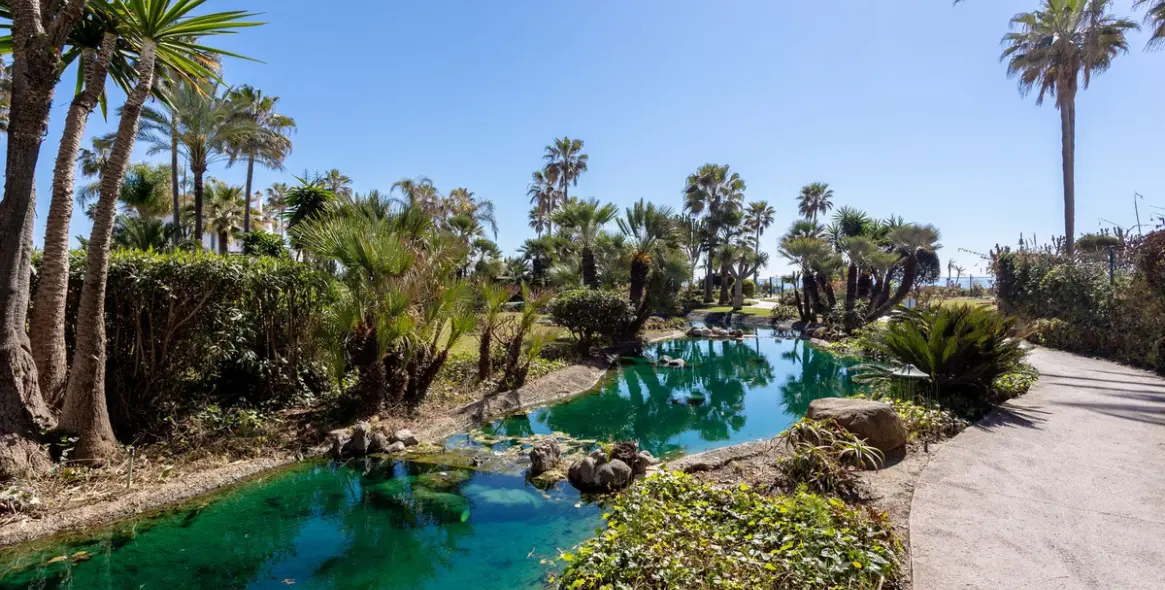 Short-term rent of ground floor apartment in Costalita 17