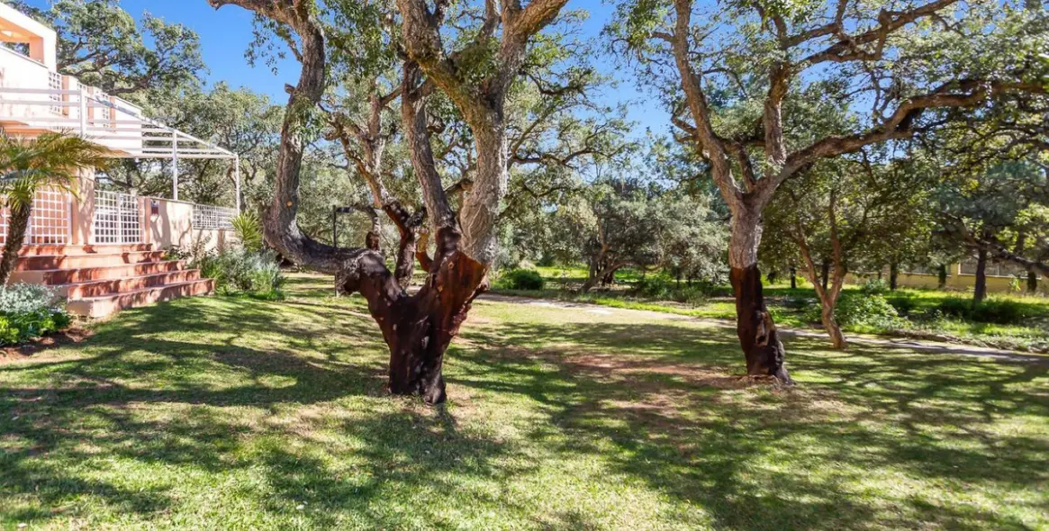 Краткосрочная аренда апартаментов на среднем этаже в Marbella 8