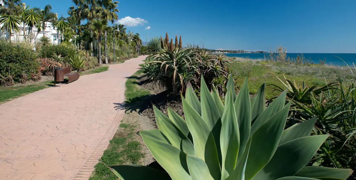 Short-term rent of ground floor apartment in Marbella 14